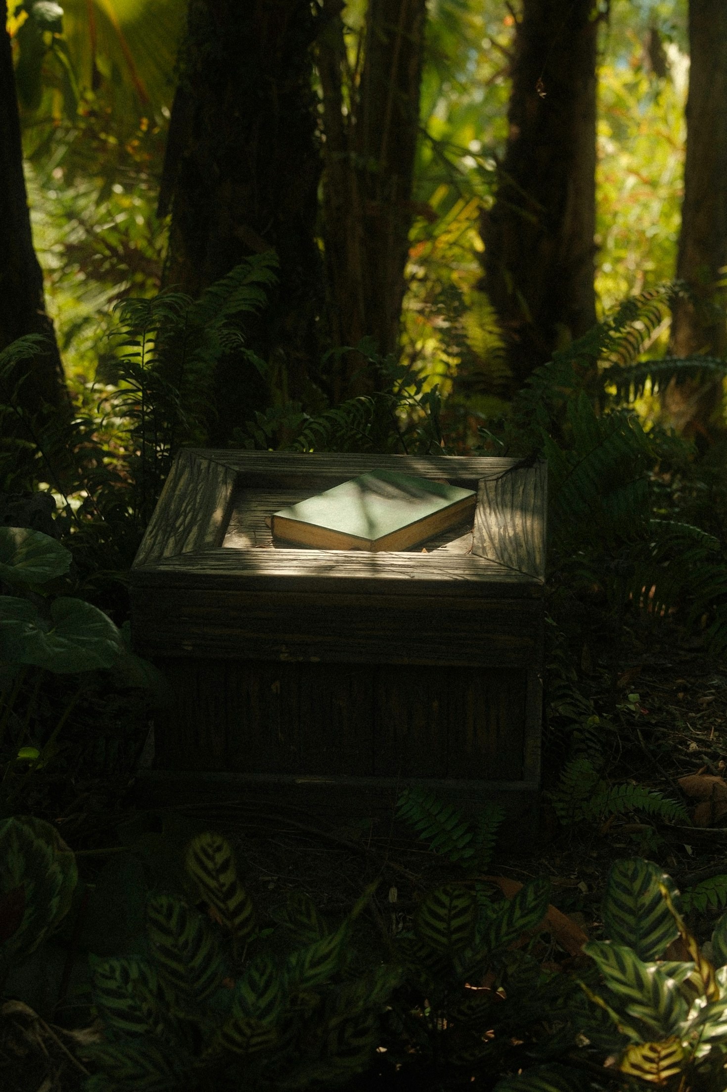 How Yvette Davies Crafts Unforgettable Twists